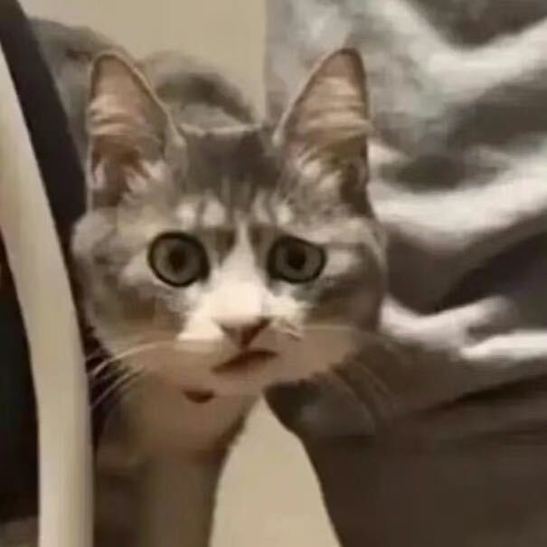 张笋 头像